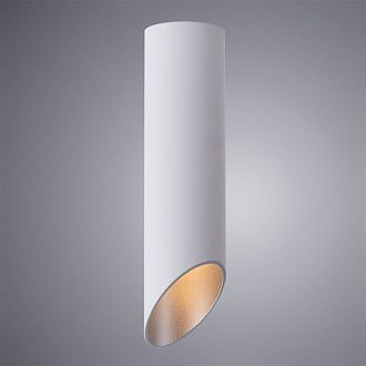 Потолочный светильник Arte Lamp Pilon-Silver A1535PL-1WH белый, диаметр 5.6 см