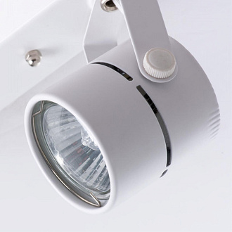Светильник Arte Lamp MIZAR A1311PL-2WH белый