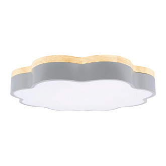 Потолочный светильник 50*7 см, 1*LED*36W 4000K серый LOFT IT Axel 10225/36 Grey