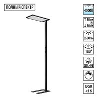 Торшер полного спектра 194 см, 100W, 4000K, Novotech Studi 359974, черный