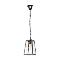 Подвесной светильник 17,5*17,5*31 см, 1*E27*60W, Loft It Modern Filament LOFT1127, Черный