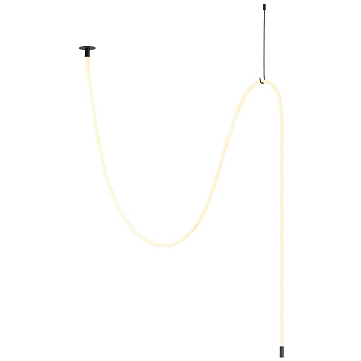 Подвесной светодиодный светильник Odeon Light Corda 4391/40CL, черный