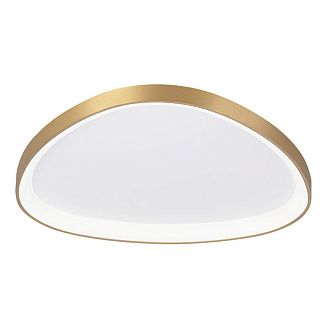 Светильник 66 см, 80W, 3000-5500K, Citilux GENKA SMART CL756A162, золото