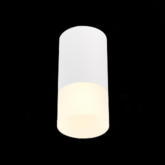 Светильник потолочный 6 см, 50W, ST LUCE ST100.512.01 Белый
