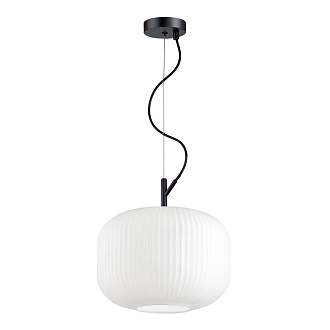 Светильник подвесной Roofi 4754/1 Odeon Light, диаметр 30 см, черный