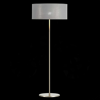 Торшер 40 см,  EVOLUCE BRESCIA SLE300515-01 Никель