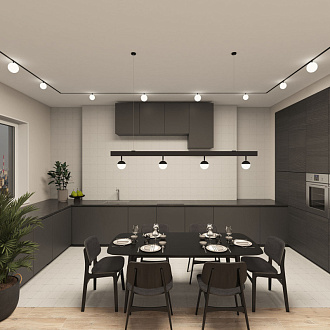 Светильник на шине 11*20,5 см, LED * 12W, 3000-6500К, Denkirs Smart Moon DK8055-BK, черный