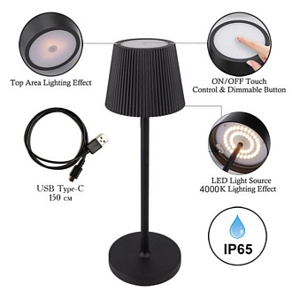 Настольная лампа 38 см, 3W, 4000K, Arte Lamp FUYUE A1616LT-1BK, черный