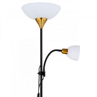 Светильник 176 см, Arte Lamp DUETTO A9569PN-2BK, черный