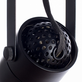 Спот Arte Lamp Lente A1310PL-2BK, черный