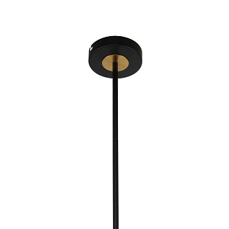 Люстра F-Promo Vials 3090-10P, D1160*H380/680, черный каркас с декоративными элементами цвета латуни, плафоны из белого стекла, лампу G9 можно менять