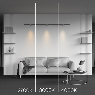 Трековый светильник 6*3,7 см, LED 5W 4000K Maytoni Technical Accessories for tracks Levity Alfa S TR188-1-5W4K-M-BW черно-белый