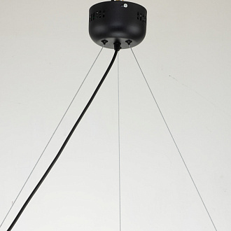 Подвесная люстра Favourite Light point 2997-6P, D650*H290/1220, каркас светильника сочетает два цвета - золотая гальваника и черный, поворотный плафон, лампу GU10 можно менять