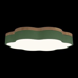 Потолочный светильник 50*7 см, 1*LED*36W 4000K зеленый LOFT IT Axel 10225/36 Green