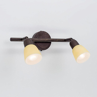 Спот Citilux CL506524 бронза