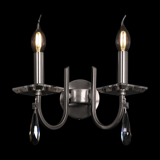 Настенный светильник (бра) Forte FR1006WL-02N