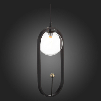 Подвес 17*13 см, ST LUCE CIRCONO SL1201.403.01 Черный