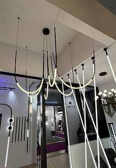 Подвесной светильник 150*100 см, 1*LED, 39W, 3000K Arte Lamp Klimt A2850SP-42BK, Черный