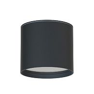 Уличный потолочный светильник 10 см, Favourite Fantum 4663-1U, черный