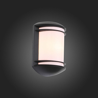 Светильник уличный настенный 18 см, 60W, ST LUCE AGIO SL076.401.01 Черный