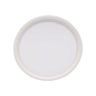 Потолочный светильник 30*3 см, 1*LED*24W 4000K белый LOFT IT Extraslim 10227/24 White
