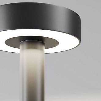 Наземный уличный светильник 250 см, 30W, 3000K, Maytoni Outdoor Nail O529FL-L30B3K, черный