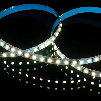 Набор светодиодной ленты Набор светодиодной ленты 12V 4,8W 60Led 2835 IP20 холодный белый, 5м Elektrostandard