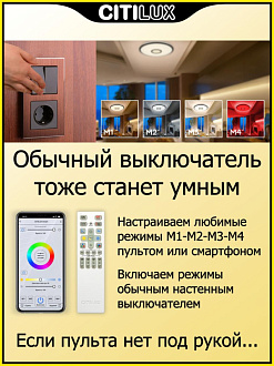 Светильник 52 см, 65W, 3000-5500K, 5200Lm, 21 м2 Citilux Старлайт CL703A61G, матовый хром, Алиса, пульт, плафон белый матовый
