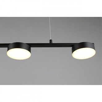 Подвесной светильник 120*10*30-140 см 35W, 3000K, Aployt Usia APL.047.03.35, черный