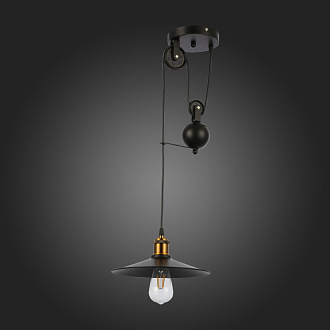 Светильник подвесной 30 см,  EVOLUCE ESPERAZZA SLE120503-01 Черный
