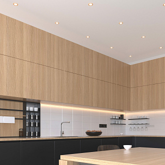 Встраиваемый точечный светильник 110 MR16 золотой Elektrostandard