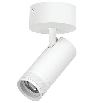 Светильник накладной c адаптером *7,2*17 см, *20W, 2700-4200-6000K, Lightstar Canno Pro C4206SO, Белый
