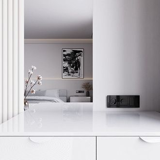 W1142048 Диммер, черный акрил Werkel, 4690389197697