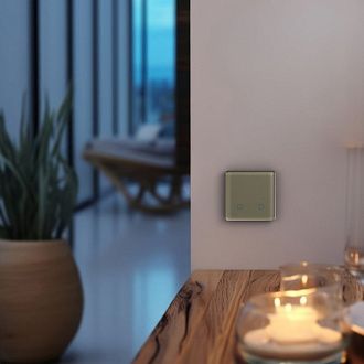 Радиовыключатель сенсорный HiTE PRO SN-R2 (Светло-коричневый, закругленные углы) HPSW-SNR2-LB