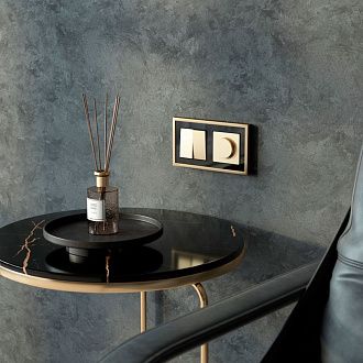 W1142011 Диммер N, шампань Werkel, 4690389213007