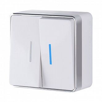 W5020101 Выключатель двухклавишный с подсветкой Gallant, белый Werkel, 4690389164170