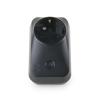 Умная розетка 76100/00 Elektrostandard