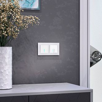 W0021105 Рамка на 2 поста Favorit, белый матовый,стекло Werkel, 4690389159572