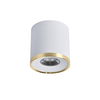 Светильник 8*8 см, LED 10W, 4000K Favourite Prakash 3085-2C, D88*H91, Светильник, каркас сочетает в себе два цвета - матовый белый и золото, декоративный элемент в виде кольца