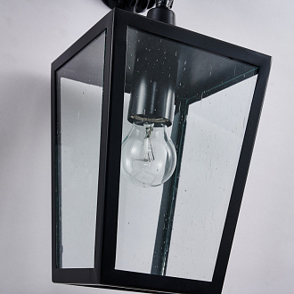 Уличный светильник Favourite Bison 4001-1W, D225*W360*H595, каркас черного цвета, плафон из прозрачного узорного стекла