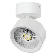 Светильник накладной 15,8*11*8,5 см, *30W, 3000K, Lightstar Alta Pro A5636SO, Белый