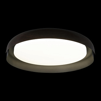 Светильник 46 см, 28W, 4000K Loft It (Light for You) Coin 10198 Black, черный