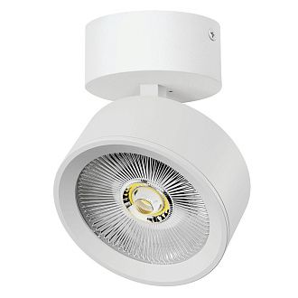 Светильник накладной 15,8*11*8,5 см, *30W, 3000K, Lightstar Alta Pro A5636SO, Белый
