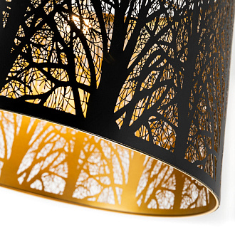 Светильник подвесной Arte Lamp Celesta A2769SP-1BK, диаметр 35 см, черный