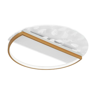 Светильник 50*50*5 см, LED 60W, 3000 / 6000K, Белый, Золото LED4U L1043-500 GD