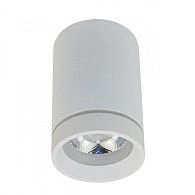 Светильник 6,5*11 см 10W, 3000K, Aployt Edda APL.0053.09.10, белый