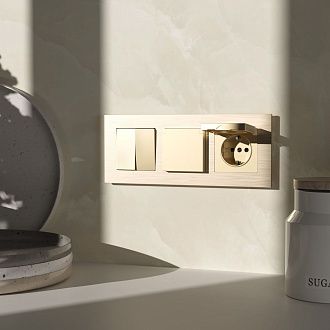 W1171211/ Электроустановочные изделия -  Розетка влагозащ. с зазем. с защит. крышкой и шторками N (шампань)