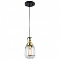 Подвесной светильник Lussole Loft LSP-9677 черный, прозрачный