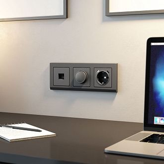 W1142064 Диммер, графит матовый Werkel, 4690389194399