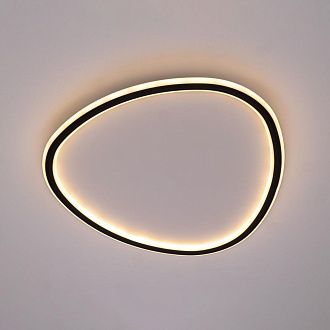 Светильник 52 см, 72W, 3000-5500K, Citilux ТRIO CL215B251E LED RGB, черный